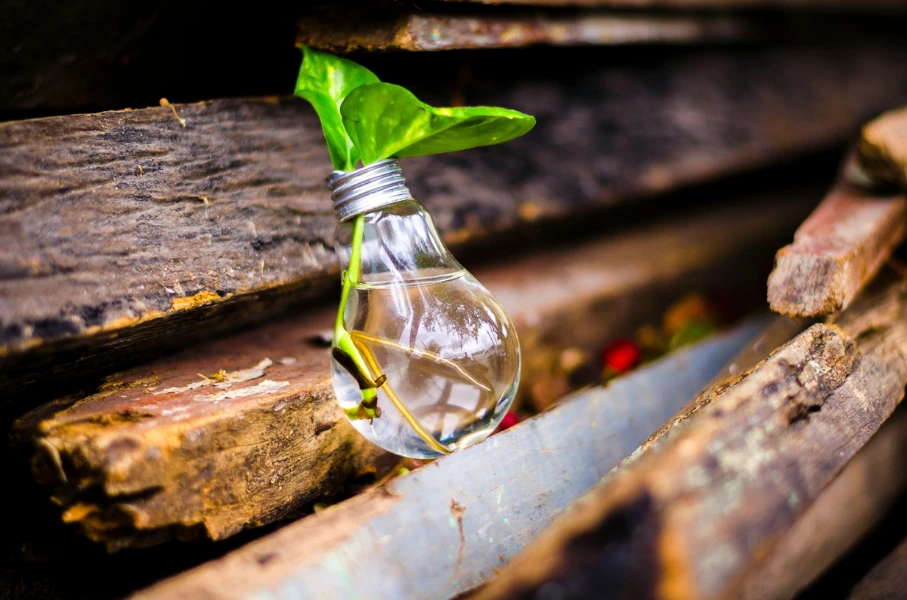 What is Consortium For Ecological Law