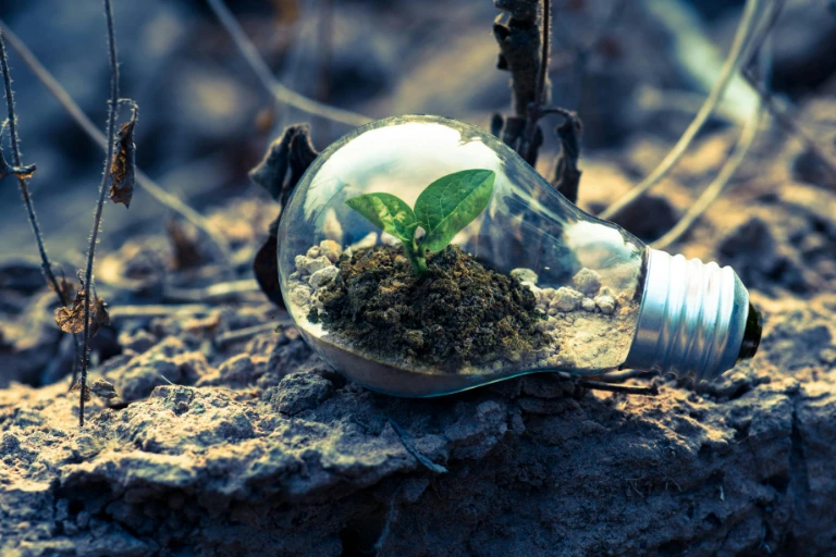 Environmental Law vs Ecological Law