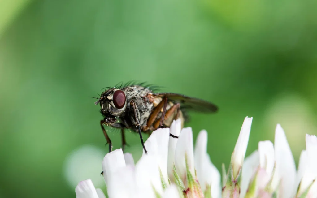 Top Environmental Laws Everyone Should Know